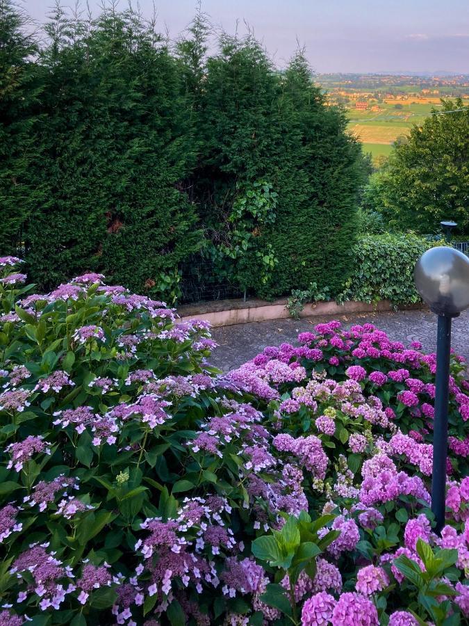 Villa Isella Маранелло Екстер'єр фото